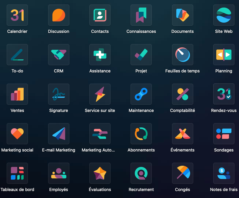 integrateur odoo paris